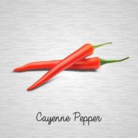 Red hot chili peppers on white background vector