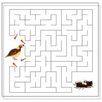 A maze game for kids. guide the bird through the maze to the nest with eggs. vector