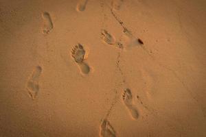 Footprints on the sand photo