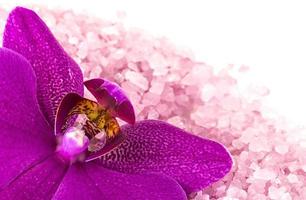 la sal de baño rosa y la orquídea sobre fondo blanco.