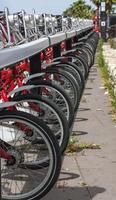 row of bikes photo