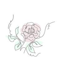 Rose continuous line , outline sketch style vector abstract art.