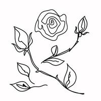 Rose continuous line  outline sketch style vector abstract art.