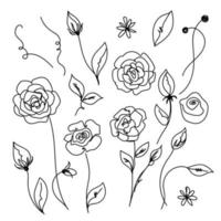 Rose continuous line  set, outline sketch style vector abstract art.