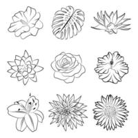 Doodle isolated flower collection graphic outline sketch hand drawn icon set, botanical floral design element. Water lily, lotus, rose, sunflower, monstera leaf stamp print. Luxury logo label template vector