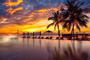 Perfect beach sunset, relaxation pool in a luxurious beachfront hotel resort in sunset light perfect beach holiday vacation banner. Sunset beach landscape. Loungers palm tree infinity pool reflections photo