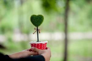 hermosa mano verde y corazón imágenes concepto de día de san valentín con espacio de copia foto