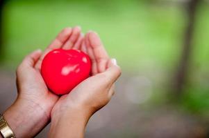 Hand and hand images and red hearts and love Valentine's Day Concept With copy space photo