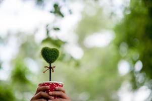 hermosa mano verde y corazón imágenes concepto de día de san valentín con espacio de copia foto