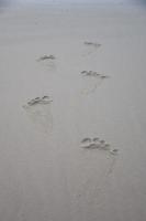 huellas en la arena de la playa de rayong en tailandia foto