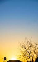 Abstract sunrise sky over dry trees, roof, and water tank, illustrated in two tones, vertical. photo