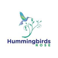 Hummingbrid logo vector. Bring rose flower as romantic animal design illustration. Exotic colibri bird. Brand for web site, application, ui apps business and company vector