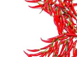 red bird chilli peppers hot chili isolated on white background. photo