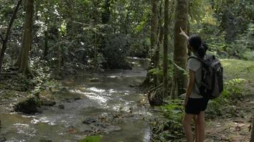 adolescente e sua mãe em pé perto de pequeno riacho gostam de assistir belas paisagens na floresta. video