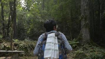 Rear view of female solo hiker with backpack walking through the jungle in the summer.