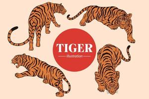 establecer cara de tigre poses salvajes ilustración de dibujos animados aislados vector