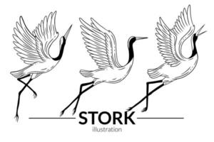 conjunto cigüeña pájaro volador tropical dibujos animados pájaros salvajes grúas dibujado a mano vector