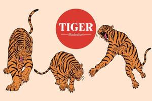 establecer cara de tigre poses salvajes ilustración de dibujos animados aislados vector