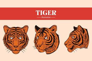 Set Tiger face wild poses isolated cartoon illustration vector