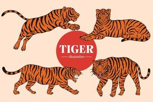 establecer cara de tigre poses salvajes ilustración de dibujos animados aislados vector