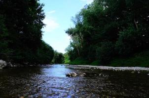 creek in green nature photo