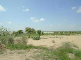 Amazing Beauty of Thar Desert photo