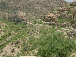 Amazing Beauty of Thar Desert photo