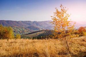 pintoresco paisaje de otoño foto