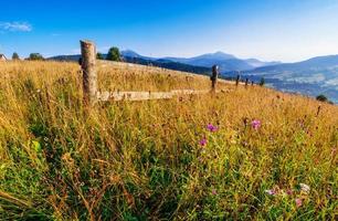 grass field in the mountains photo