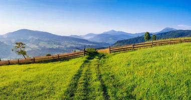 Mountain summer landscape. High grass and cloudy sky photo