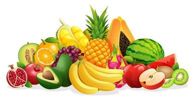 Set of various kinds of fruit illustrations vector