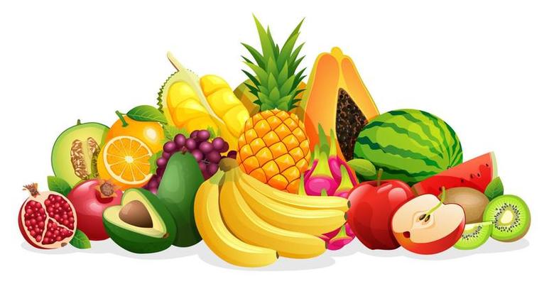 Set of various kinds of fruit illustrations