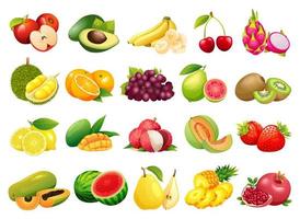 colección de varios tipos de frutas ilustración vector