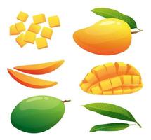 Set of fresh mango fruits whole, half and cubic slices illustration isolated on white background vector