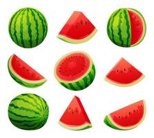Set of juicy watermelon whole, half and cut slice illustration isolated on white background vector