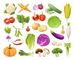 conjunto de ilustración de vector de verduras orgánicas