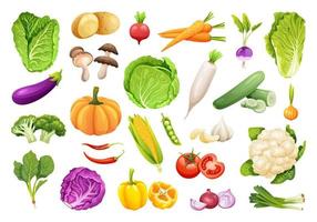 Collection of fresh vegetables in cartoon style vector
