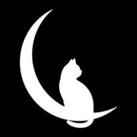 cat on the moon on a black sky vector