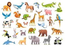 Collection of cute cartoon animal illustrations vector