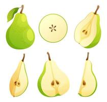 Set of fresh pear fruits whole and half cut illustration isolated on white background vector