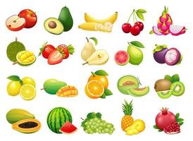 Collection of fresh fruits in cartoon style