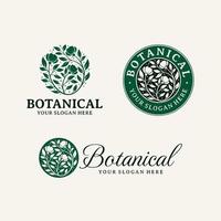 plantilla de logotipo de flor botánica dibujada a mano vector