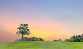 paisaje de primavera - prado verde cielo vespertino y puesta de sol, pancarta foto