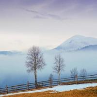 Spring day in the mountains of Ukraine. photo