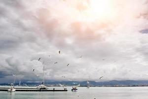 ship at sea photo