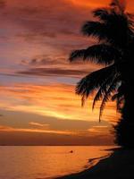 Cook Islands sunset