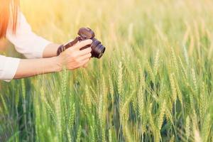 mujer viajera tomando fotos del campo de trigo por la mañana.