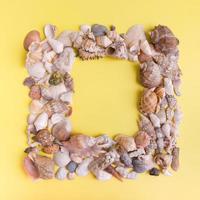 Top view of seashells in the form of a frame on a yellow background. Creative summer abstract background flat lay with copy space photo