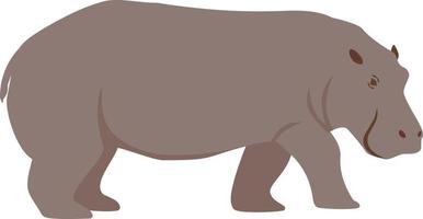 Color illustration of a hippopotamus. Cartoon illustration of a hippopotamus. Isolated vector