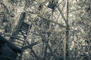 Wooden viewpoint tower tropical jungle to Muyil Lagoon panorama Mexico. photo